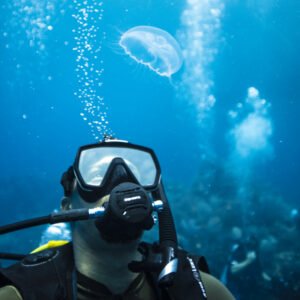 buceo en quintay