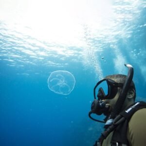 buceo en viña del mar