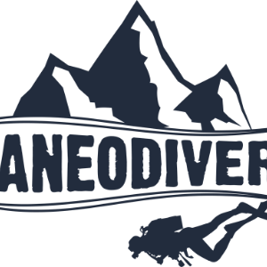 Pago Final Expedición Playa del Carmen en CaneoDivers