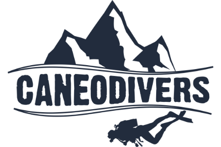 Caneo Divers