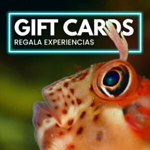 GiftCard CaneoDivers